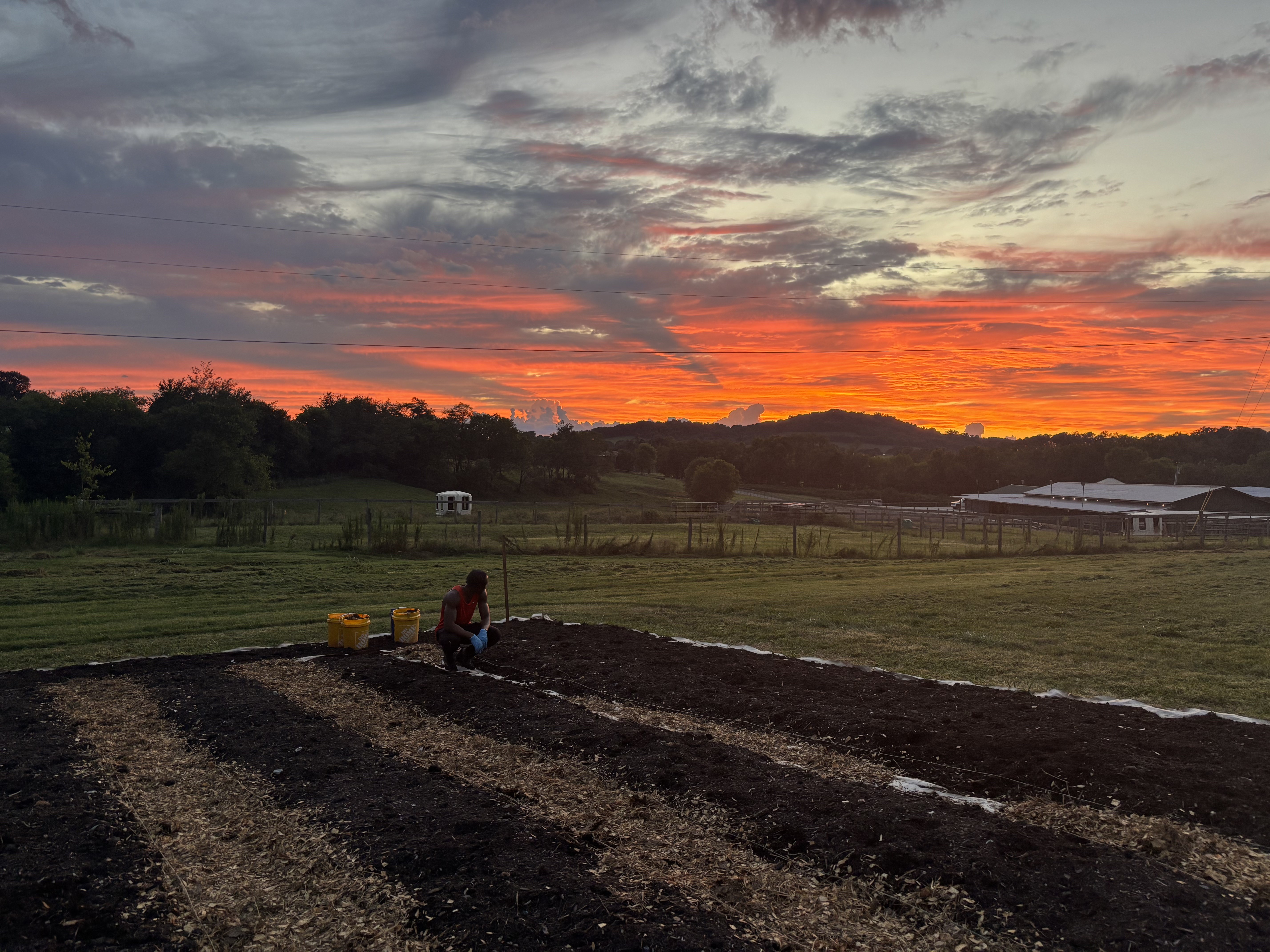 Doada working in a garden at sunset